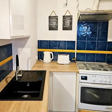 Apartment Przestronny Z Szybkim Wifi